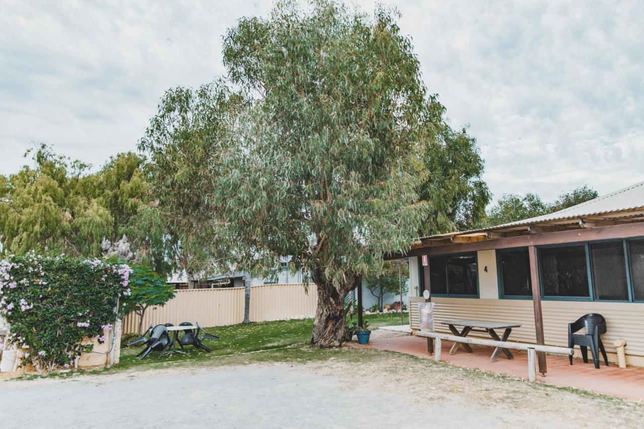 Dongara Hotel Motel Extérieur photo
